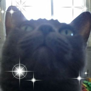 Meet your Posher, Deanna